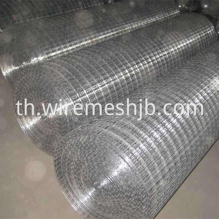 Welded Wire Mesh Rolls